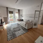 Rent 3 bedroom apartment of 82 m² in Vicenza