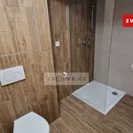 Rent 3 bedroom apartment in Uherské Hradiště