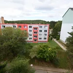 Rent 3 bedroom apartment of 61 m² in Brno