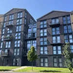 Rent 1 bedroom apartment in West Midlands