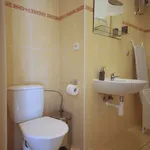 Pronajměte si 1 ložnic/e byt o rozloze 36 m² v Prague