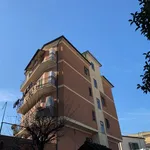 Affitto 2 camera appartamento di 40 m² in Roma