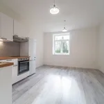 Pronajměte si 2 ložnic/e byt o rozloze 39 m² v Milovice