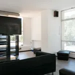 Rent 1 bedroom apartment in madrid