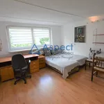 Rent 2 bedroom apartment of 39 m² in SZCZECIN