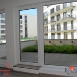 Pronajměte si 1 ložnic/e byt o rozloze 39 m² v Pilsen