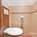 Rent 3 bedroom apartment in Brno