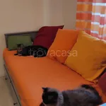 Rent 2 bedroom apartment of 54 m² in Milano