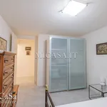 Rent 4 bedroom apartment of 80 m² in Pisa