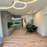 Rent 4 bedroom apartment of 100 m² in Kecskemét