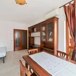 Rent 3 bedroom apartment in Rome