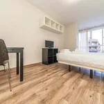 Rent 1 bedroom apartment of 32 m² in Madrid