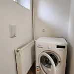 Rent 1 bedroom apartment in Plzeň