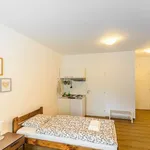 Studio o rozloze 20 m² v Prague