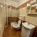 Rent 1 bedroom apartment of 20 m² in Prague