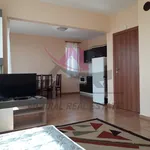 Rent 1 bedroom house of 120 m² in Sofia