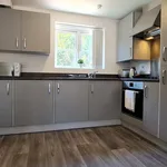 Rent 1 bedroom flat of 797 m² in Birmingham