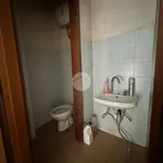 Rent 1 bedroom apartment of 55 m² in Roma