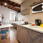 Rent 1 bedroom apartment of 30 m² in Florence