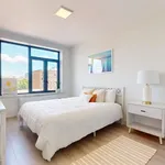 Rent 1 bedroom apartment in Queens