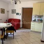 Rent 3 bedroom apartment of 78 m² in Perugia