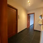 Rent 1 bedroom apartment in Tervuren