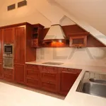 Rent 3 bedroom apartment of 110 m² in Prague