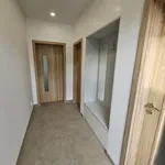 Rent 1 bedroom house of 240 m² in Prague