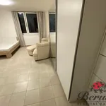 Rent 1 bedroom apartment of 33 m² in Prague