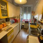 Rent 2 bedroom apartment of 70 m² in Roma