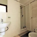 Rent 3 bedroom apartment of 108 m² in Segrate