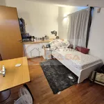 Rent a room of 150 m² in Legnaro