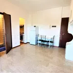 Rent 1 bedroom apartment of 40 m² in Vimodrone