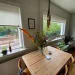 Rent 2 bedroom apartment of 45 m² in Bergen