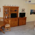 Rent 1 bedroom apartment of 5716 m² in  Mairena del Aljarafe