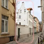 Rent 1 bedroom apartment of 150 m² in Leuven