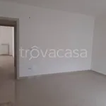 Rent 3 bedroom apartment of 80 m² in Mugnano di Napoli