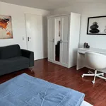 Miete 3 Schlafzimmer wohnung von 969 m² in Dusseldorf