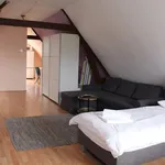 Rent 1 bedroom apartment of 50 m² in Rotterdam