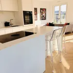 Rent 2 bedroom apartment of 60 m² in München