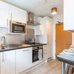 Rent 1 bedroom apartment in Brighton