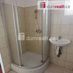 Rent 2 bedroom apartment of 70 m² in Děčín