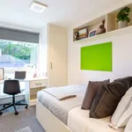 Rent 1 bedroom flat in Brighton