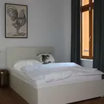 Rent 1 bedroom apartment of 59 m² in berlin