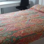 Rent a room in salamanca