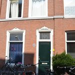 Rent a room of 18 m² in Den Haag