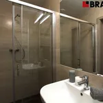 Pronajměte si 1 ložnic/e byt o rozloze 31 m² v Brno