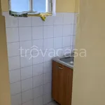 Rent 2 bedroom apartment of 55 m² in Torino