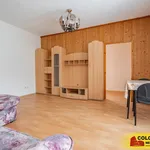 Rent 1 bedroom apartment in Brno