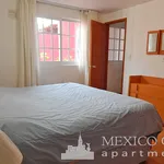 Rent 1 bedroom apartment of 45 m² in Mexico City